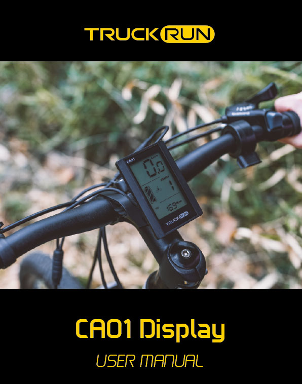 CA01 Display User Manual